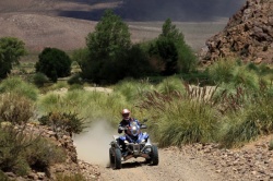 Patronelli, solide leader de la catégorie quad - Crédit photo : Maindru