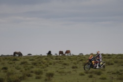 Dakar : Despres s'impose dans la 9ème étape - Photo : François Flamand / DPPI