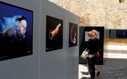 Festival Sportfolio 2012