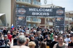 110 ans Harley-Davidson : une grande année
