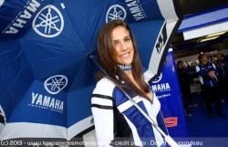 MotoGP Mans l'umbrella girl de Yamaha