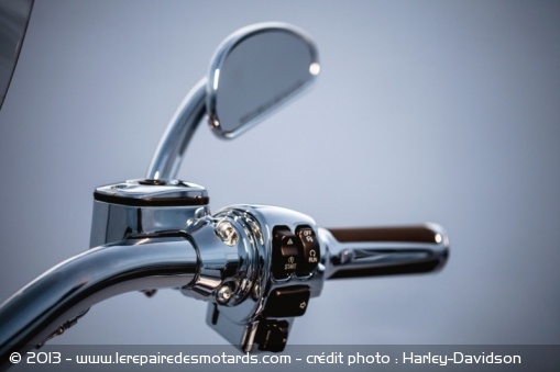 Custom Harley-Davidson CVO Softail Deluxe