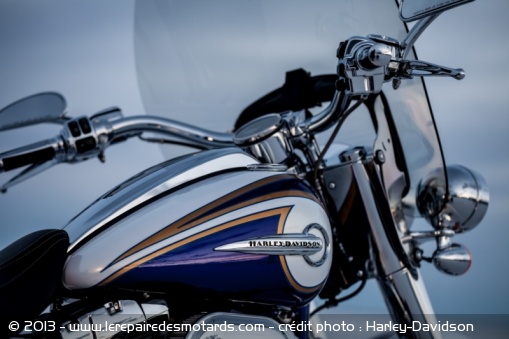 Custom Harley-Davidson CVO Softail Deluxe