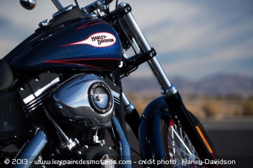 Custom Harley-Davidson Street Bob Special Edition
