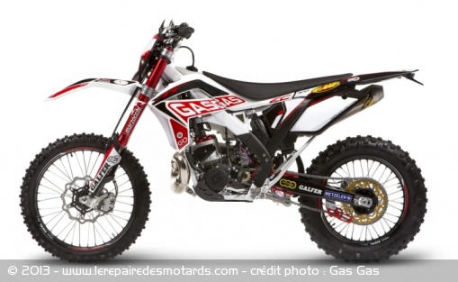 Enduro Gas Gas EC Factory Replica 250 et 300