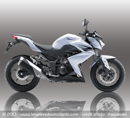 Roadster Kawasaki Z250