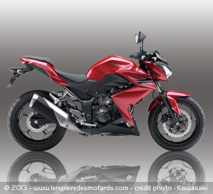 Roadster Kawasaki Z250