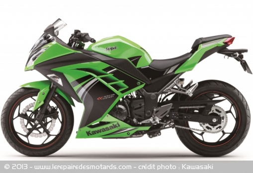 Sportive Kawasaki Ninja 300 Special Edition