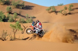 Rallye du Maroc : Barreda remporte la 1ère étape - Crédit photo : team HRC
