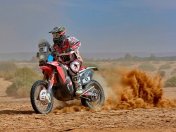 Rallye du Maroc : 2ème victoire d'étape pour Goncalves - Crédit photo : Team HRC