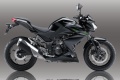Roadster Kawasaki Z250