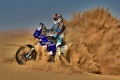 Bonus NPO Academy X Trem Day Desert Tracking