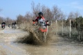 One World one GS France