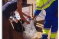 Journée environnement NPO Events ramasse déchets