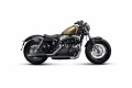 Echappement Akrapovic Harley Davidson Sportster