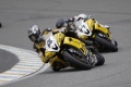 Dark Dog Academy supersport allemand