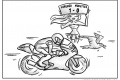 Une mouette MotoGP