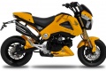 Ermax équipe Honda MSX 125