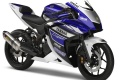 Sportive Yamaha R25