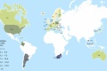 Mortalit accidentalit routire monde
