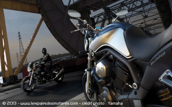 Un chien plus polluant qu'une Harley ?