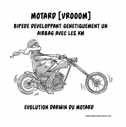 Airbag : Evolution Darwin du motard