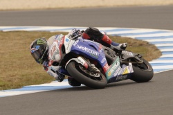 Essais WSBK : Lowes mène le jeu à Phillip Island