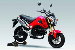 Silencieux Yoshimura R-77 pour Honda MSX125