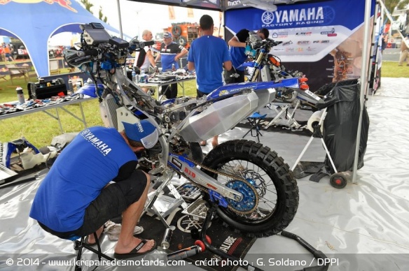 Stand Yamaha