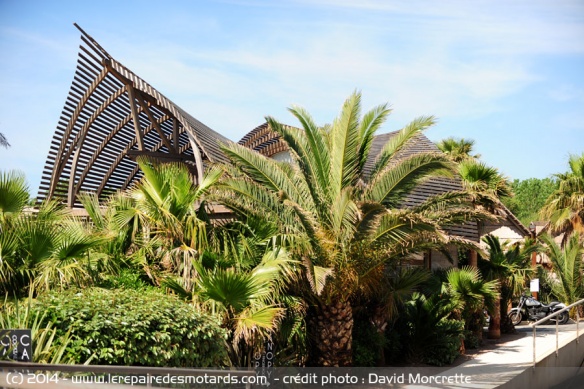 Euro Festival sur la plage et sous les palmiers 