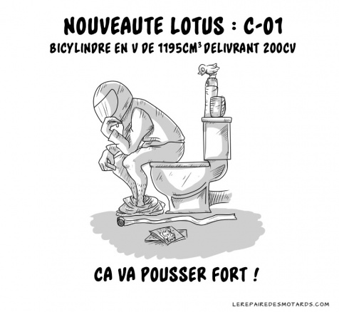 Nouveauté Lotus qui pousse fort
