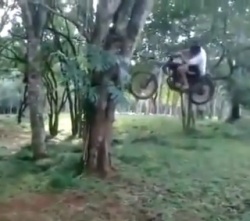 Plutôt moto ou balançoire?