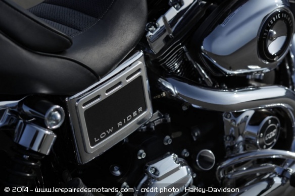 Custom Harley-Davidson Low Rider