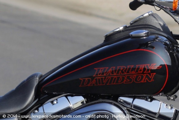 Custom Harley-Davidson Low Rider