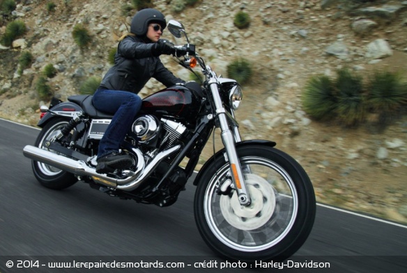 Custom Harley-Davidson Low Rider