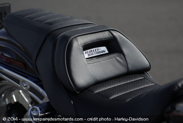 Custom Harley-Davidson Low Rider