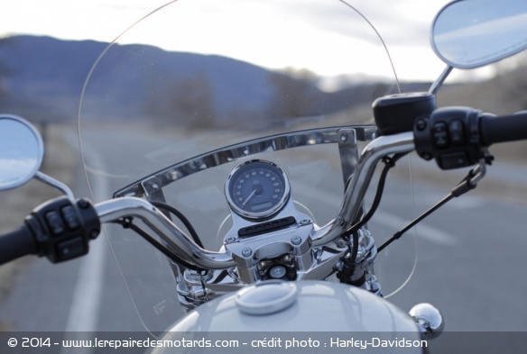 Custom Harley-Davidson SuperLow 1200T