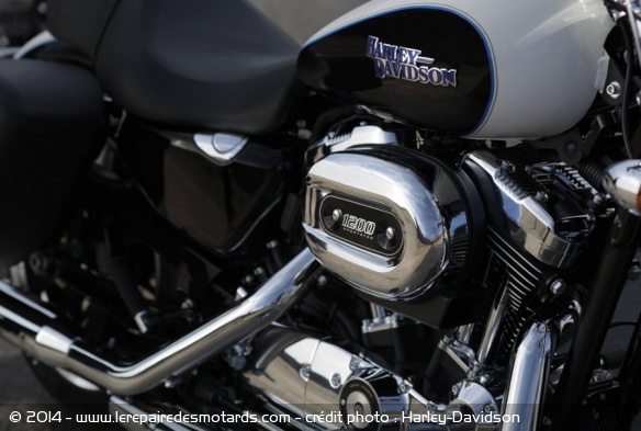 Custom Harley-Davidson SuperLow 1200T