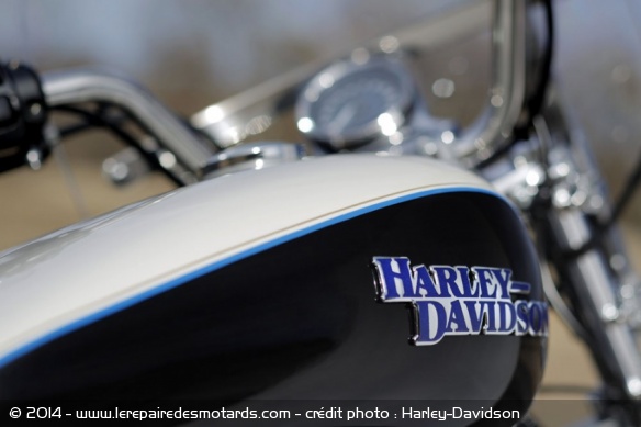 Custom Harley-Davidson SuperLow 1200T