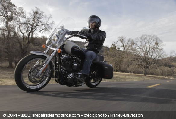 Custom Harley-Davidson SuperLow 1200T