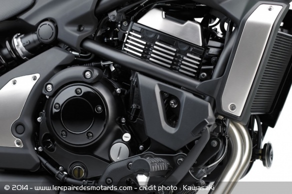 Custom Kawasaki Vulcan S 650