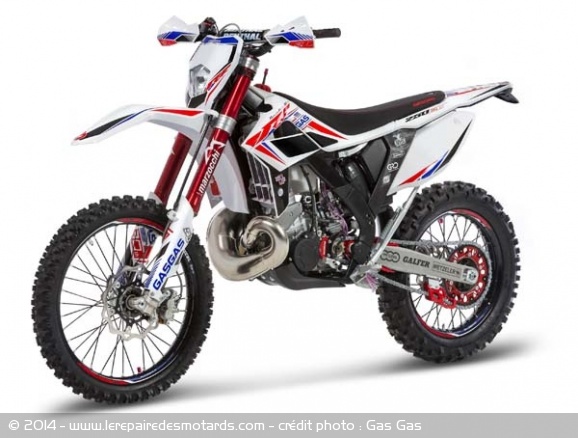 Gas Gas 300 et 250 EC Replica Factory