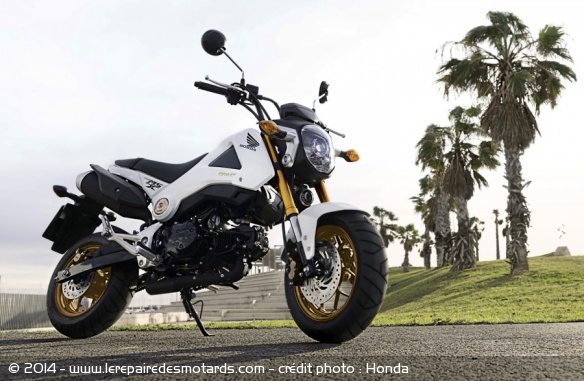 Honda MSX 125 2014