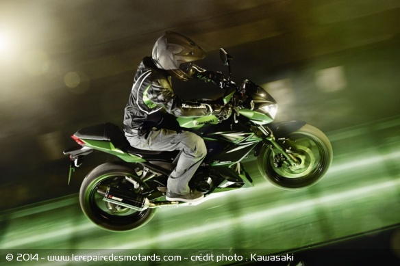Roadster Kawasaki Z300