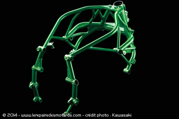 Sportive Kawasaki Ninja H2