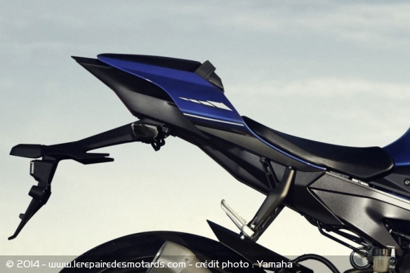 Sportive Yamaha YZF-R1
