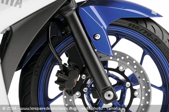 Sportive Yamaha YZF-R3