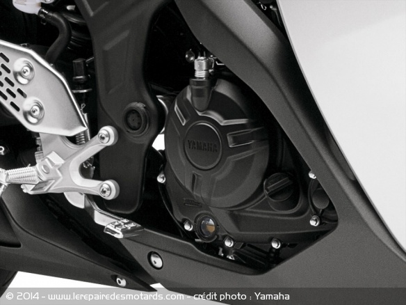 Sportive Yamaha YZF-R3