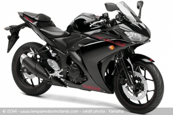 Sportive Yamaha YZF-R3