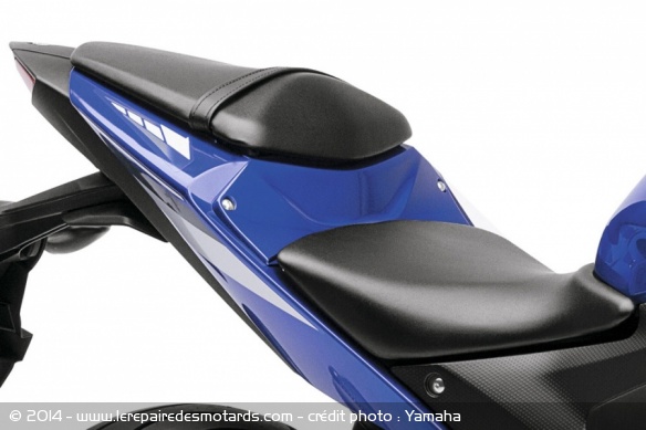 Sportive Yamaha YZF-R3
